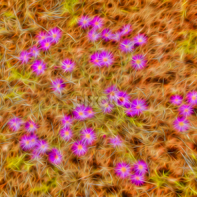 Purple And Gold by Jim Moon - Digital Art Things