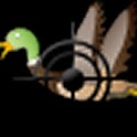 Shoot The Ducks