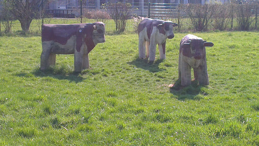 3 Kühe Aus Holz