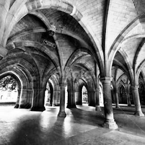 Glasgow Uni Cloisters by Wendy Milne - Buildings & Architecture Public & Historical
