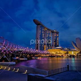 The Helix by Henry Suwardi - Buildings & Architecture Bridges & Suspended Structures