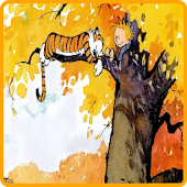 Calvin & Hobbes Collections icon