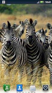 How to get Zebras Live Wallpaper 3.6.0.0 apk for laptop