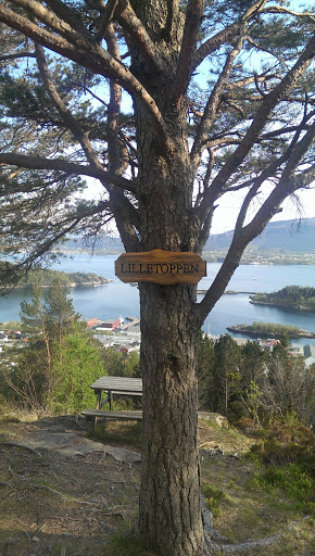 Lilletoppen Viewpoint
