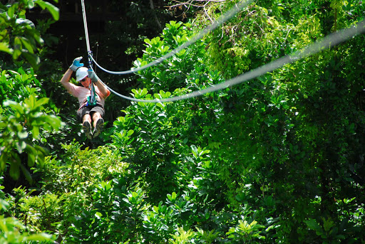 zipline-Barbados - A visitor goes ziplining across a canopy of trees on Barbados.