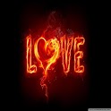 Gift your Valentine Wallpaper