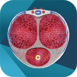 iURO Andrology Pro logo