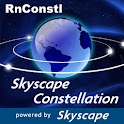 Nursing Constellation™ logo