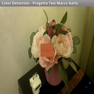 vEyes Color Detection Screenshots 4