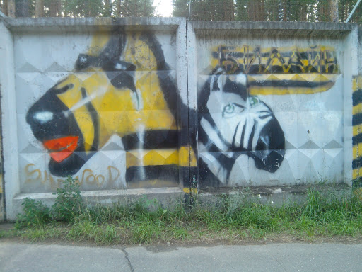 Граффити Зебры