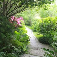 日新島 水榭樓台