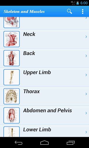 Human Anatomy I Lite