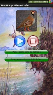 Free Download Caza Reclamo - APP APK