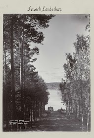 Fins landschap nabij Punkaharju.