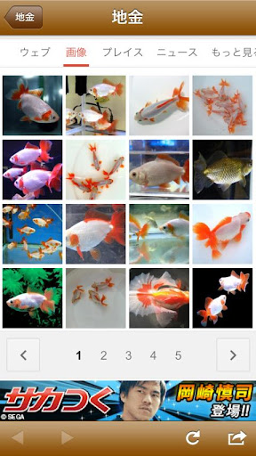 【免費教育App】Japanese goldfish-APP點子