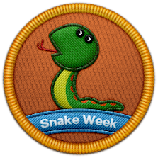 Snake Week 