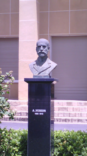 A.Yersin Statue