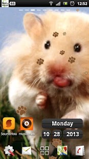 How to download live hamster wallpapers patch 1.0.5 apk for laptop
