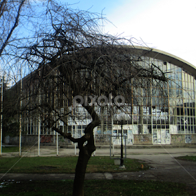 by Jovana Perovanović - Uncategorized All Uncategorized