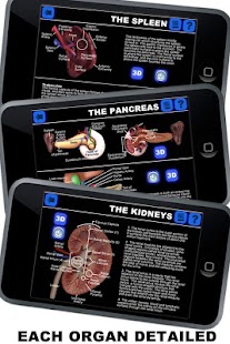 How to mod Anatomy 3D: Organs patch 1.0.4 apk for android