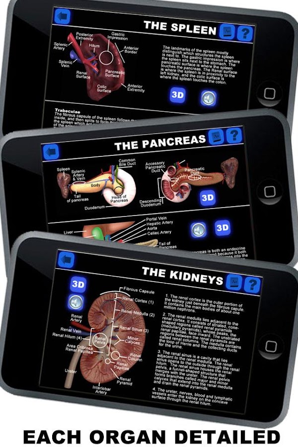 Anatomy 3D Organs Android Apps on Google Play