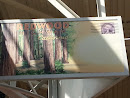 Foodcourt Redwood Highway Postcard