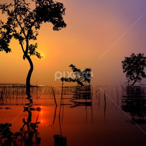 by Subir Majumdar - Landscapes Waterscapes