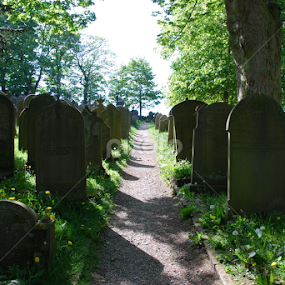 by Darren Merrills - City,  Street & Park Cemeteries