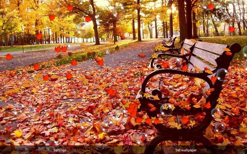 Image result for autumn