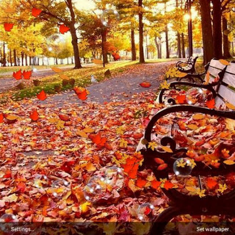 Autumn Live Wallpaper - Android Apps on Google Play