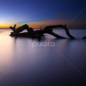 die hard by Double'u Photoworks - Landscapes Waterscapes