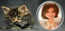 photo frames cat pic frames APK
