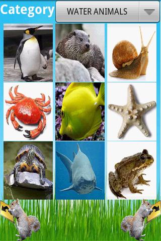 Android application Animals Encyclopedia screenshort