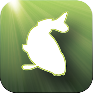 iRigs - Carp Fishing