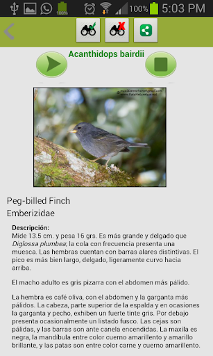 【免費教育App】Obsoleta Aves de Costa Rica-APP點子