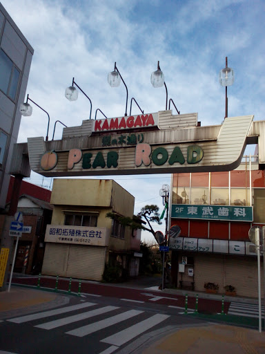 Kamagaya Pear Road