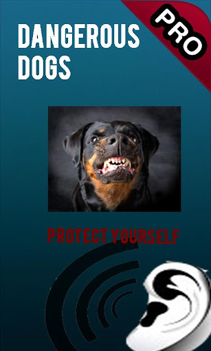 Dangerous Dogs Pro Version