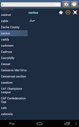 English Standard Arabic Dict poster 8