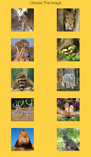 免費下載解謎APP|Animals puzzles for kids app開箱文|APP開箱王