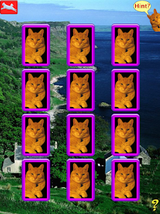 Kitty Match Screenshots 0