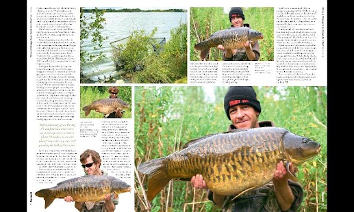 Download CARPWORLD APK