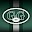 Gang Green - New York Jets Download on Windows
