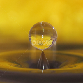 by Dipak Marfatia - Abstract Water Drops & Splashes