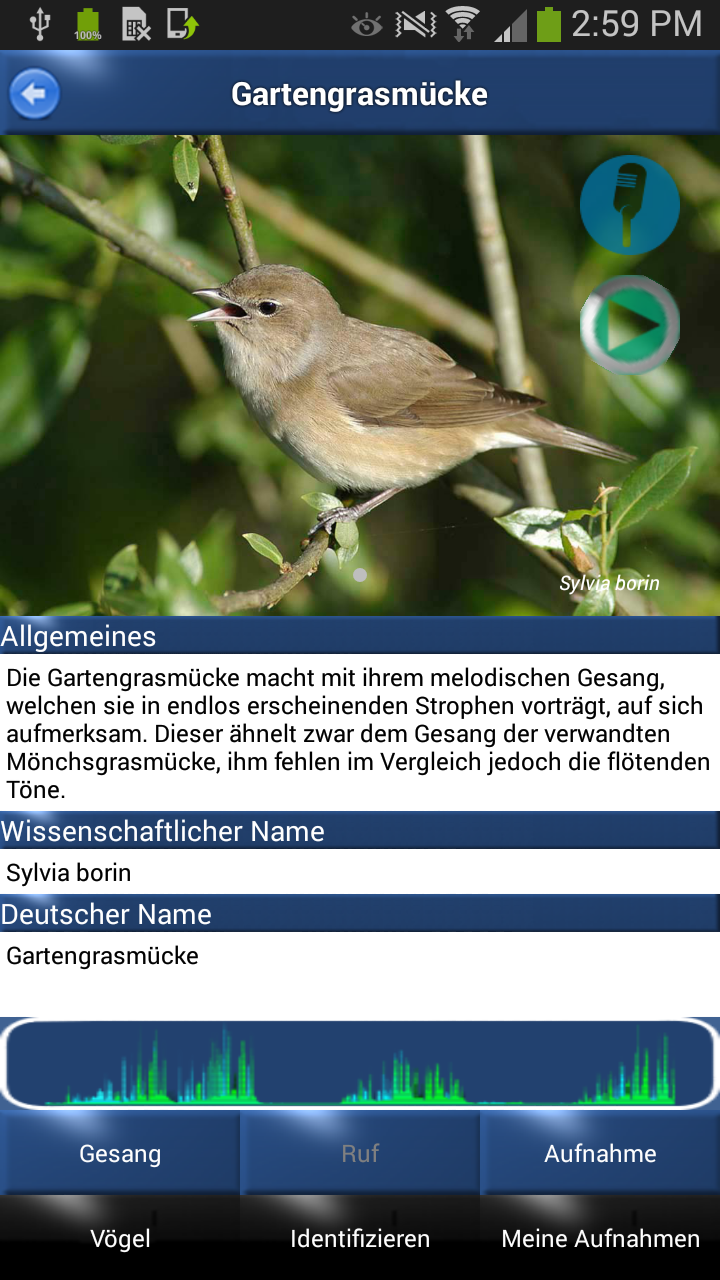 Vogelstimmen Id - Ruf + Gesang Screen 2