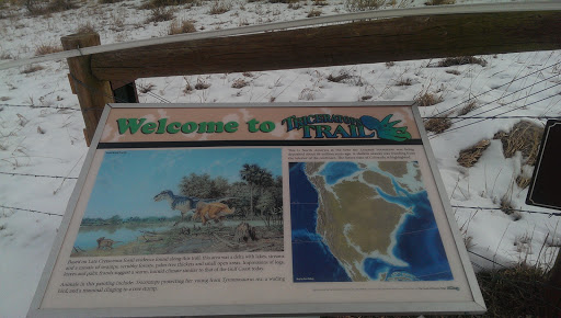 Welcome to Triceratops Trail