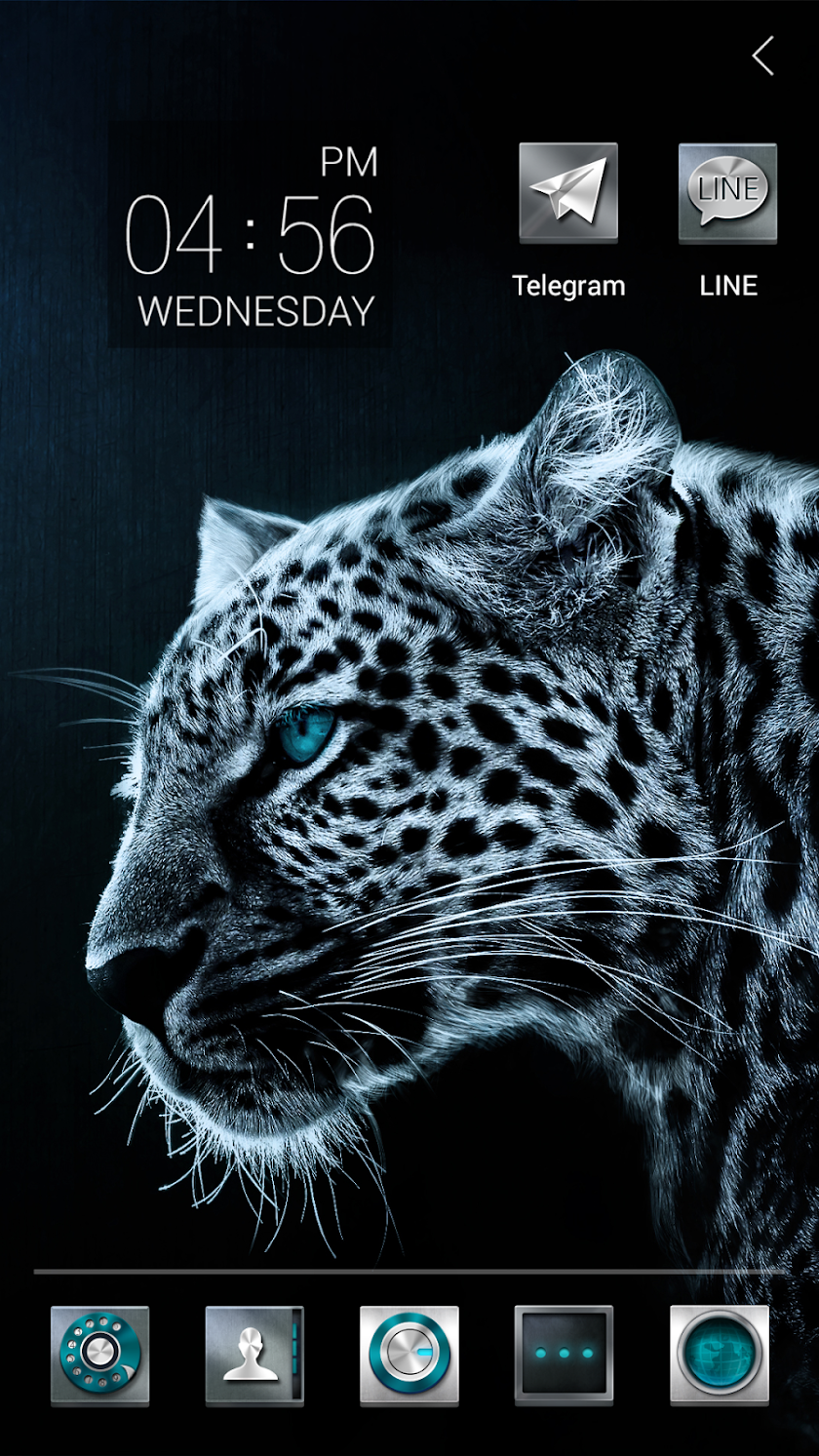 Leopard Atom Theme Screen 3