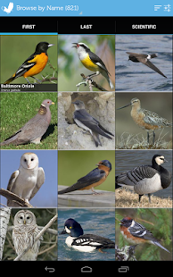 Audubon Birds - A Field Guide