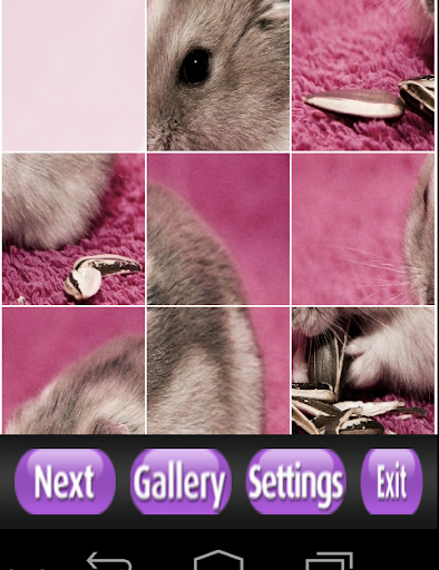 Hamster Puzzle Games
