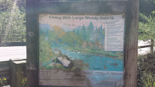 Living With Woody Debris Education Point
