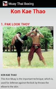 Muay Thai Boxing Screenshots 6